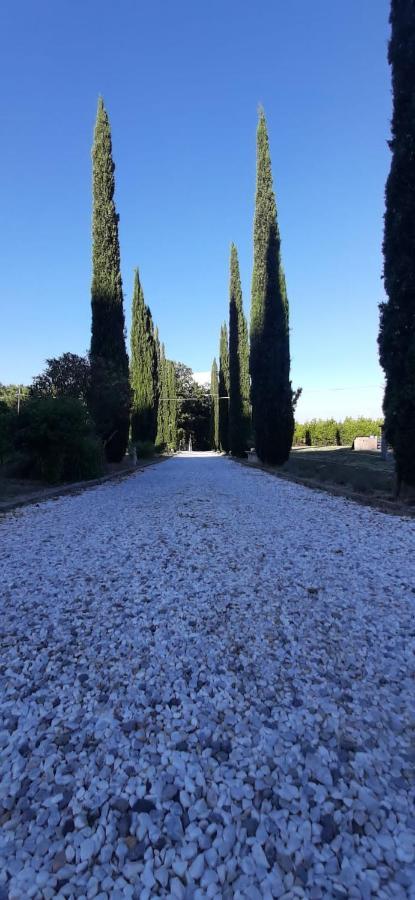 B&B Agriturismo Regno Di Toscana Collesalvetti Buitenkant foto