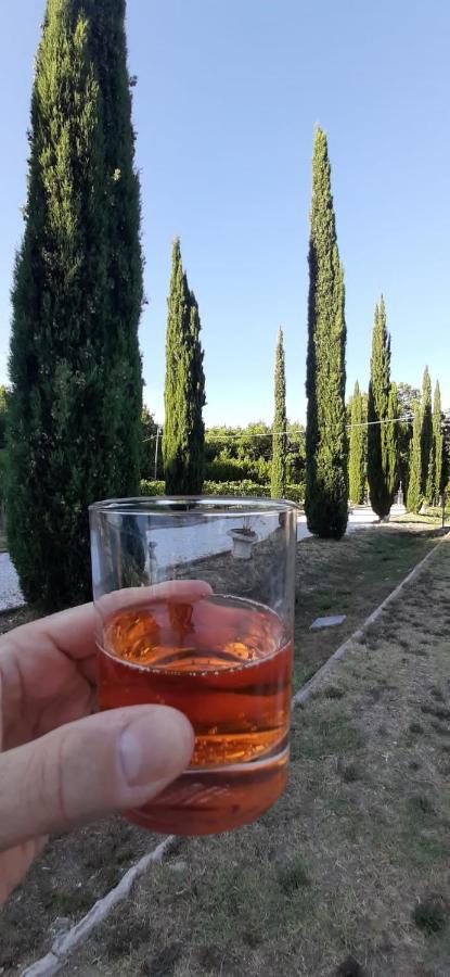 B&B Agriturismo Regno Di Toscana Collesalvetti Buitenkant foto