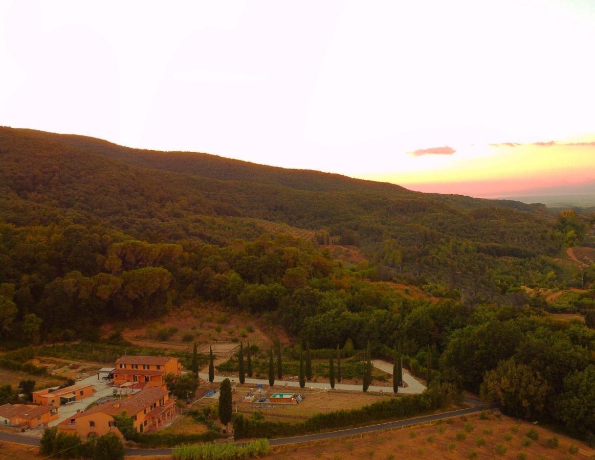 B&B Agriturismo Regno Di Toscana Collesalvetti Buitenkant foto