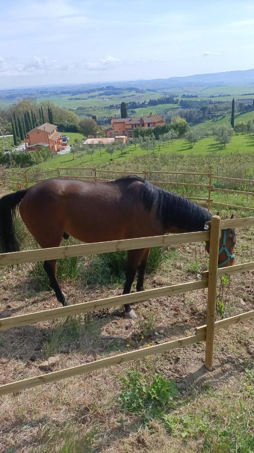 B&B Agriturismo Regno Di Toscana Collesalvetti Buitenkant foto